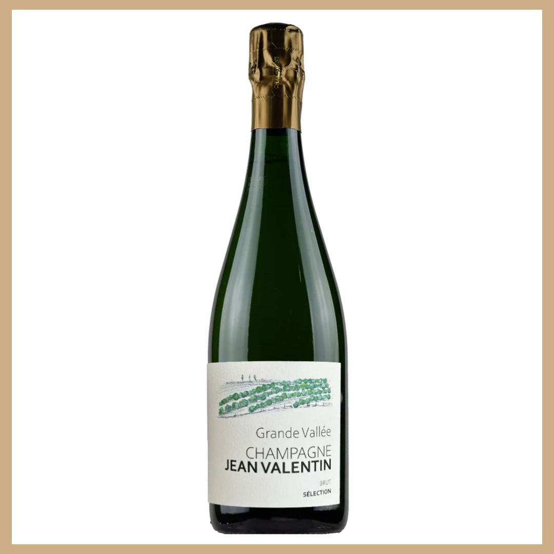 Champagne Grande Vallée – Jean Valentin Brut Sélection